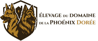 Domaine de de la Phoenix Dorée
